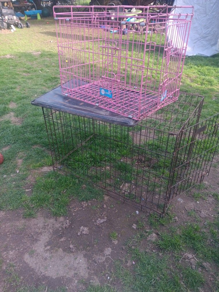 Animal Cages