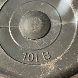 10 Lbs Dumbbell