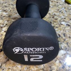 Easy Grip Workout Dumbbell, Neoprene Coated 12 Pounds