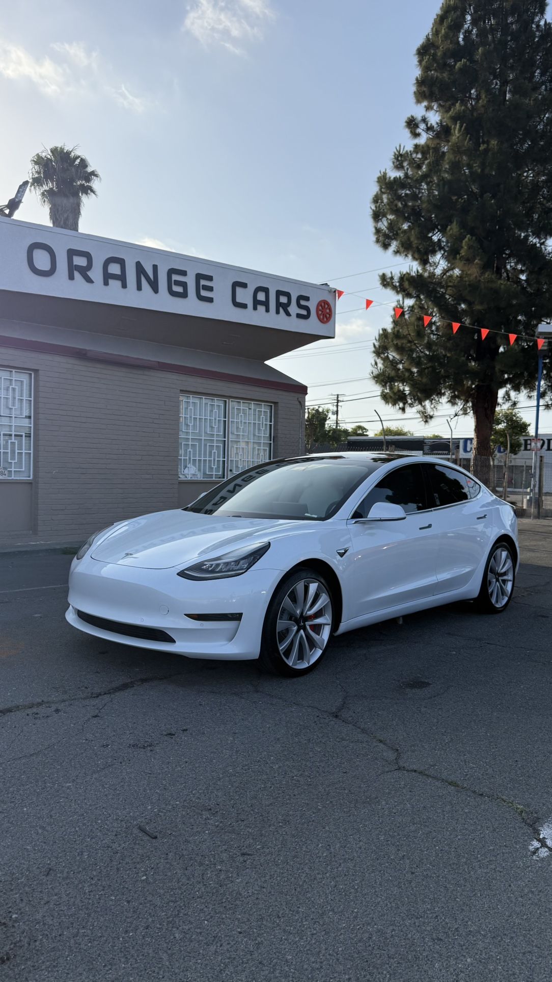 2019 Tesla Model 3