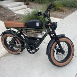 1000w Ebike
