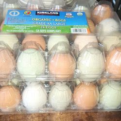 Fresh🍳