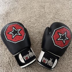 Top Ten Boxing Gloves 