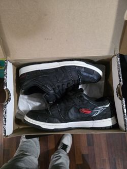 Nike Sb Dunk Wasted Youth Special Box