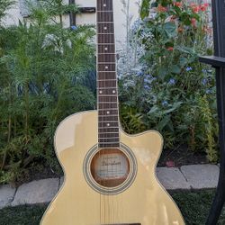 Davidson Acoustic Electric Guitar