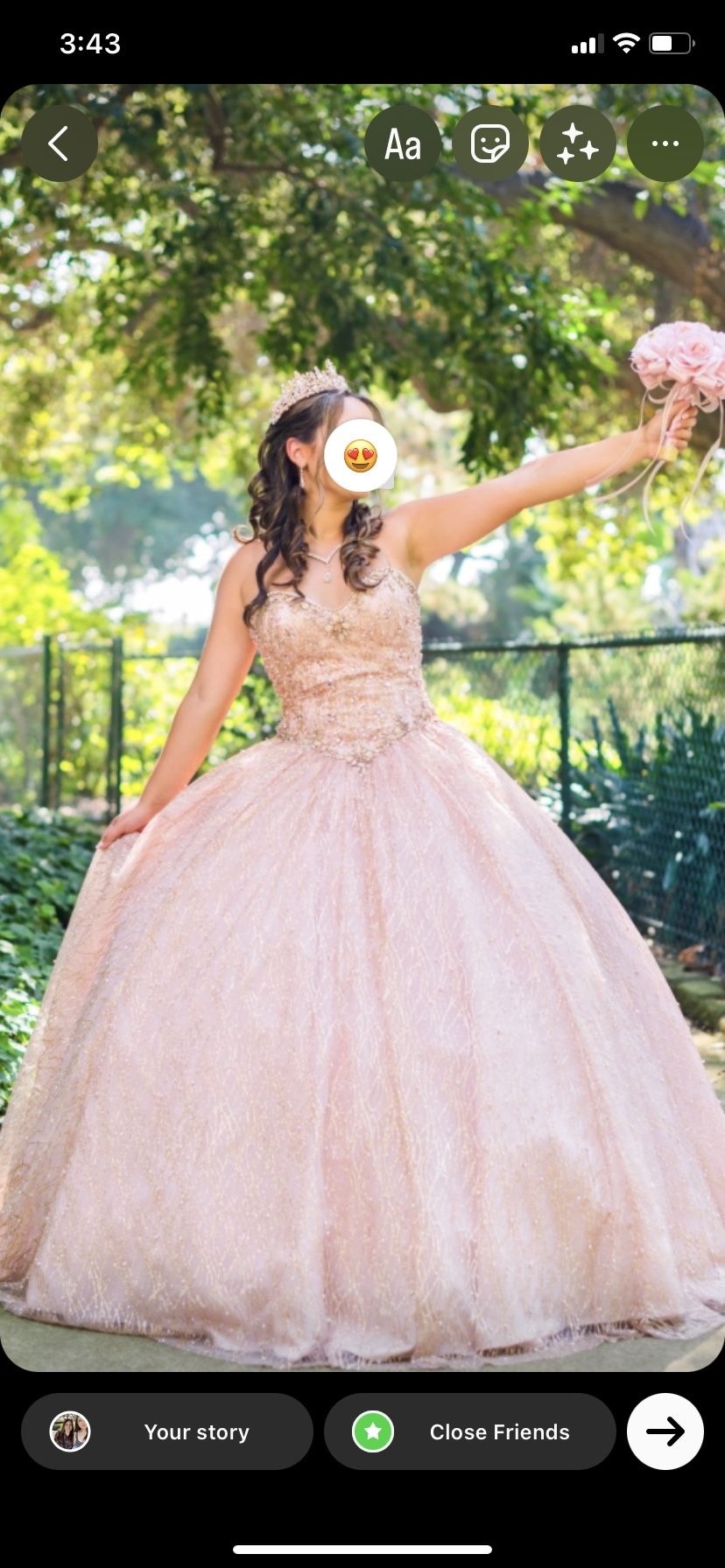 Quinceanera dress