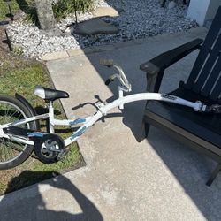 WeeRide Co-Pilot Kids Bike Trailer