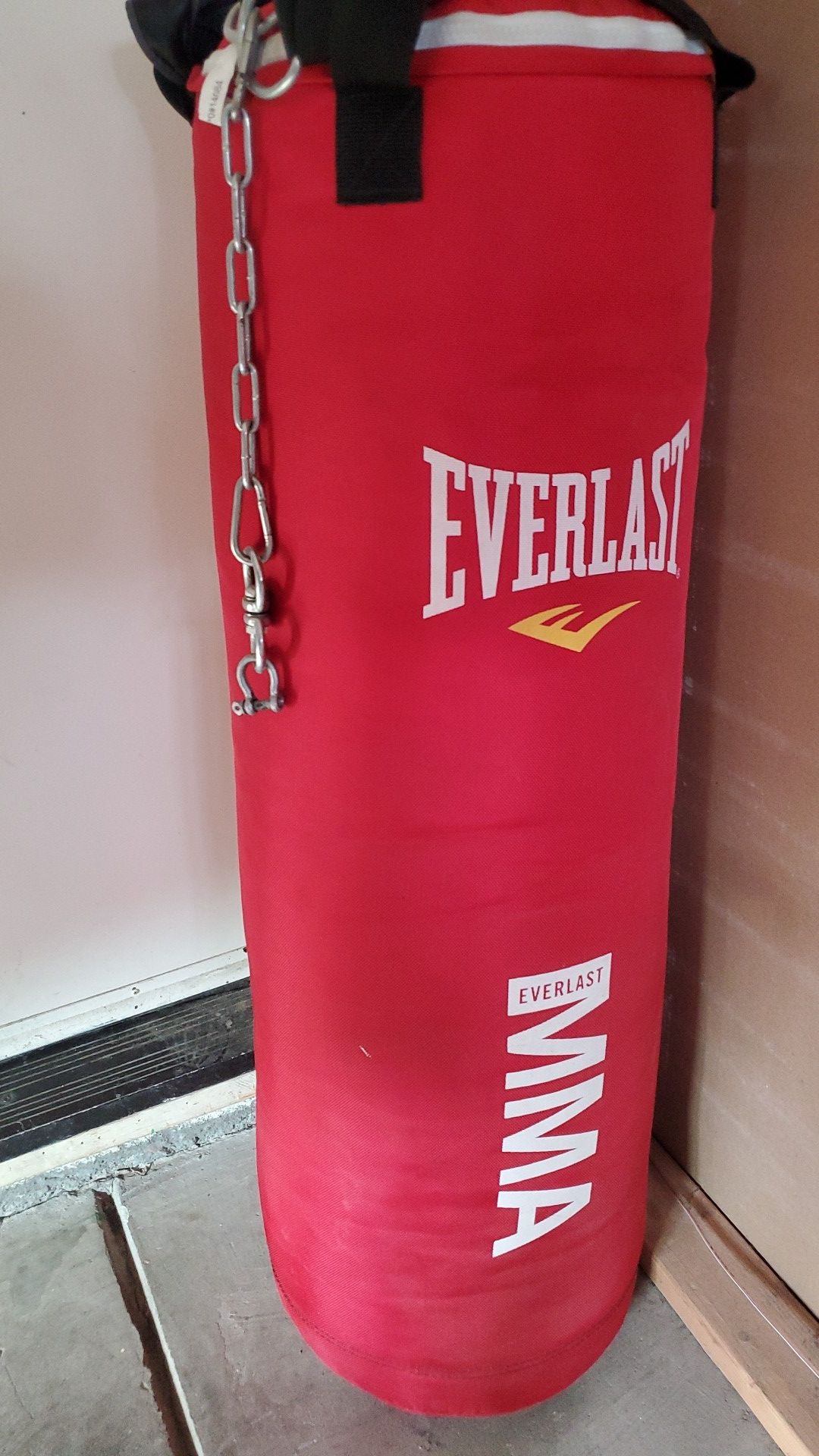 Punching bag. Everlast