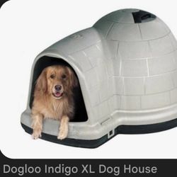 Doghouse Dogloo