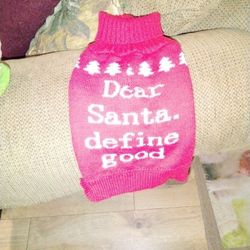 Dog Santa Sweater 