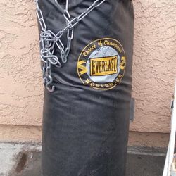 Everlast Punching Bag 