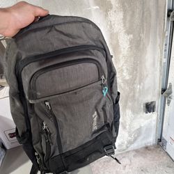 Thule Laptop Backpack