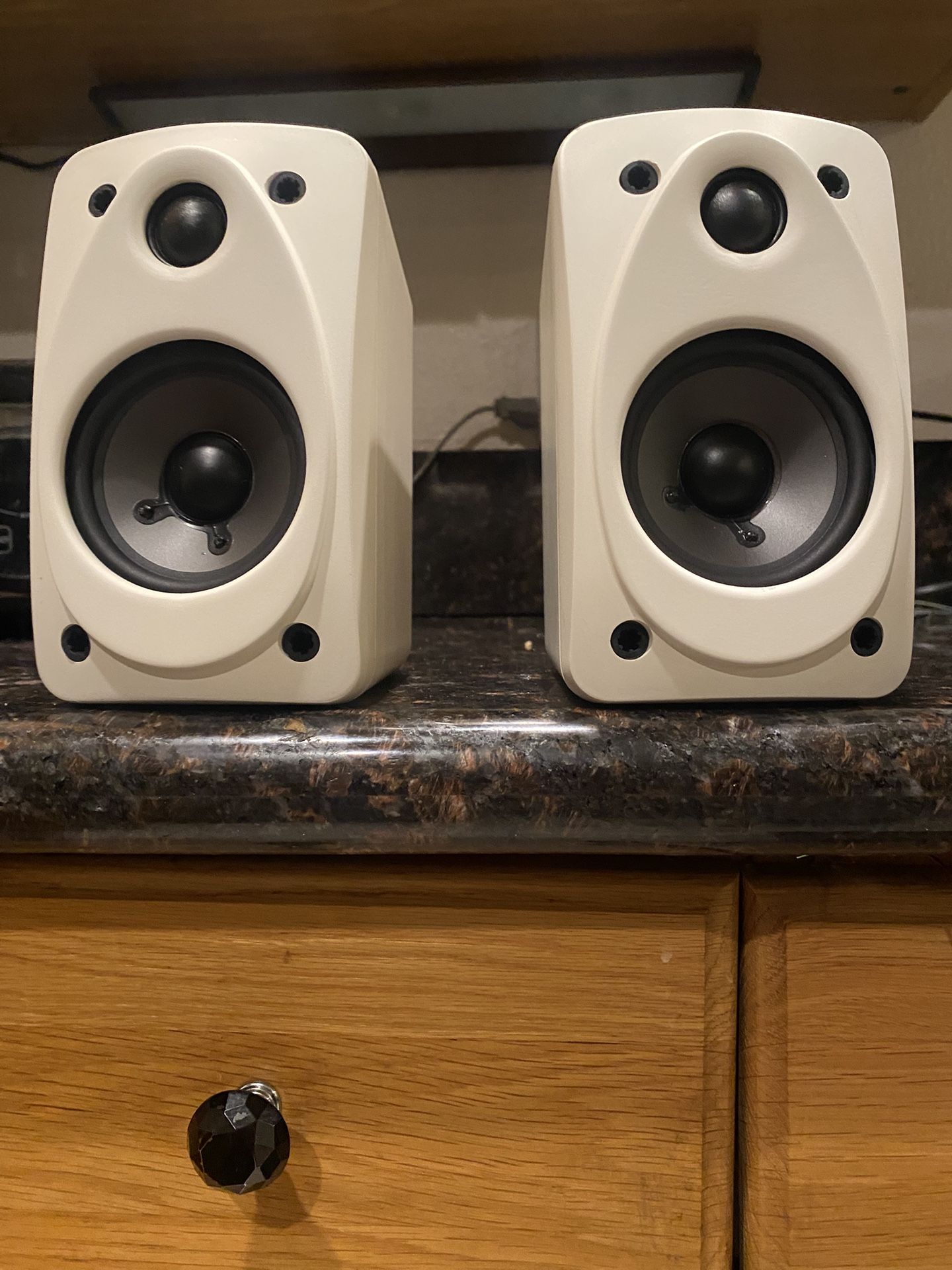 Polk Audio Rear Surround Sound Speakers