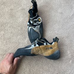 Rock climbing Shoes La Sportiva P3 Size 42 for Sale in Scottsdale AZ OfferUp