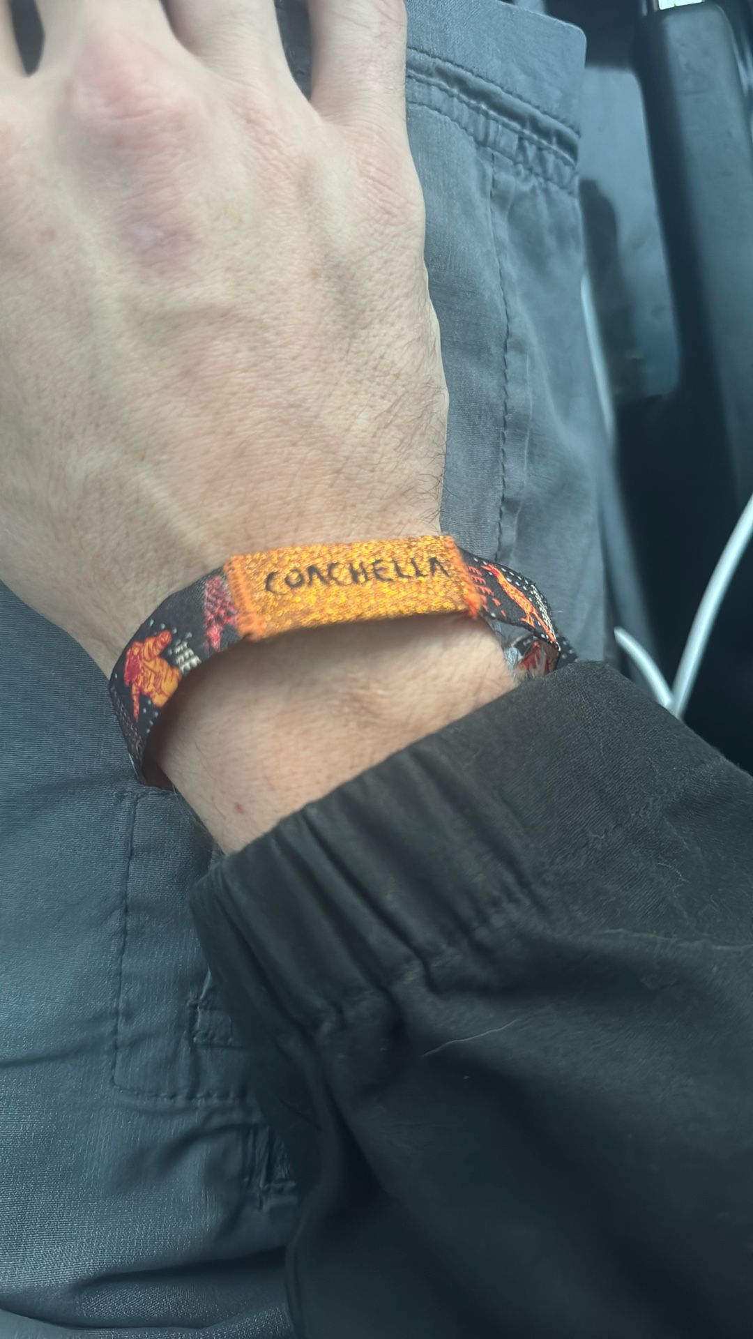 Coachella Weekend 2 - Sunday