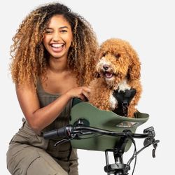 Kvisp Dog Bike Seat / Carrier