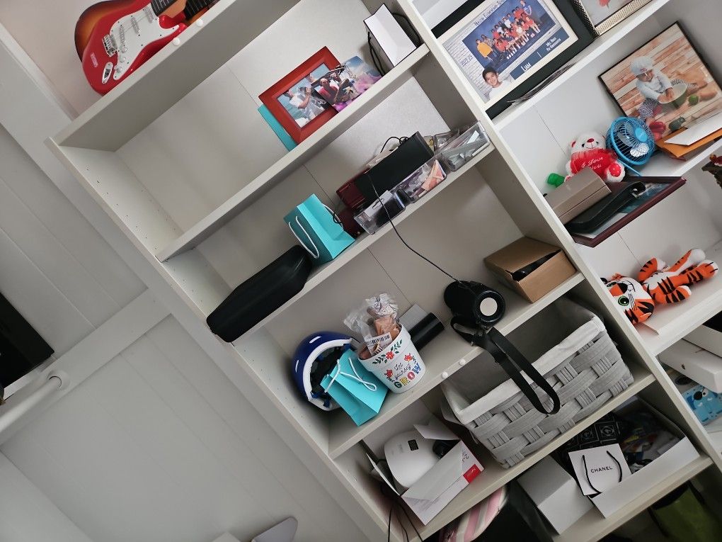 Book Shelve With Doors