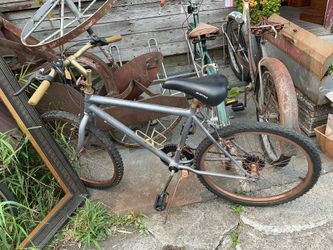 Vintage Custom Painted Bike