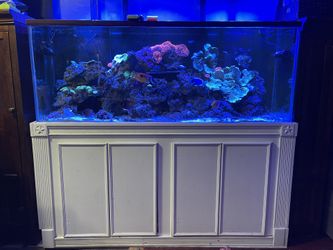 180 Gallons Tank