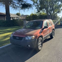 2007 Ford Escape XLT