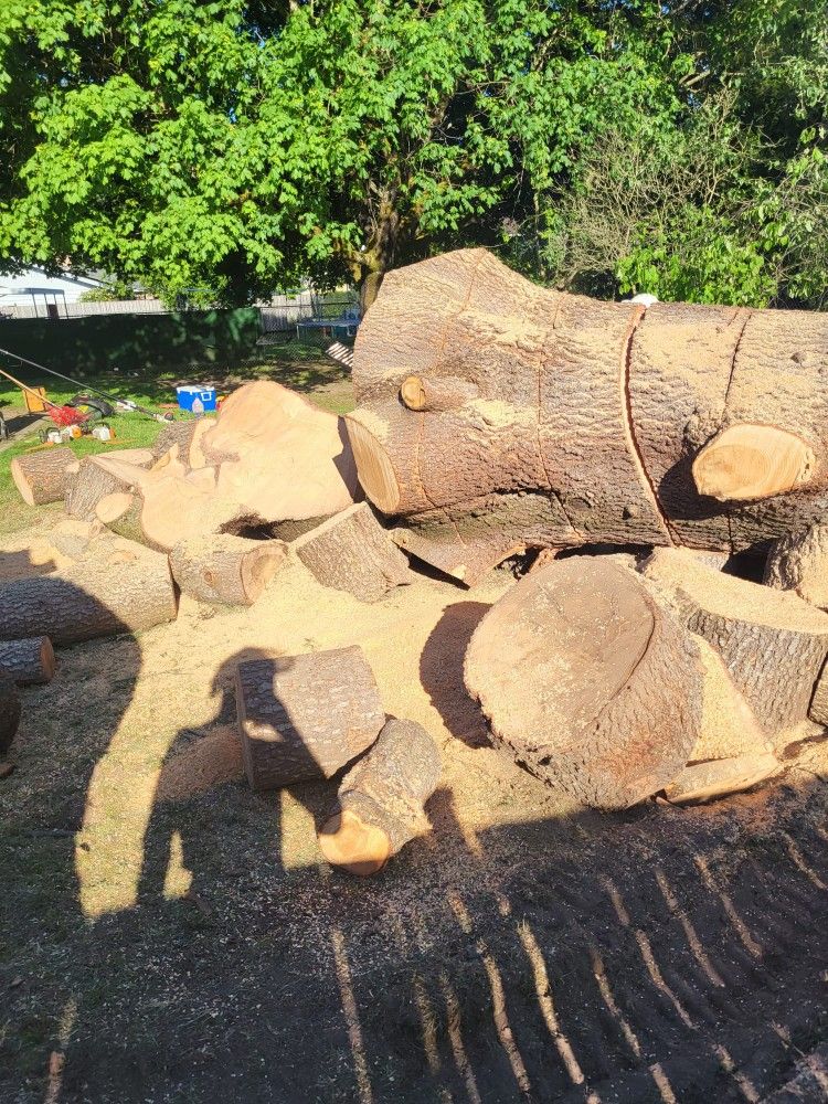 Tree Work
