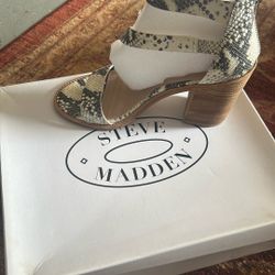 Shoes Steve Madden 8/ 1/2 M 