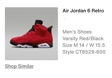 Jordan 6 (New)