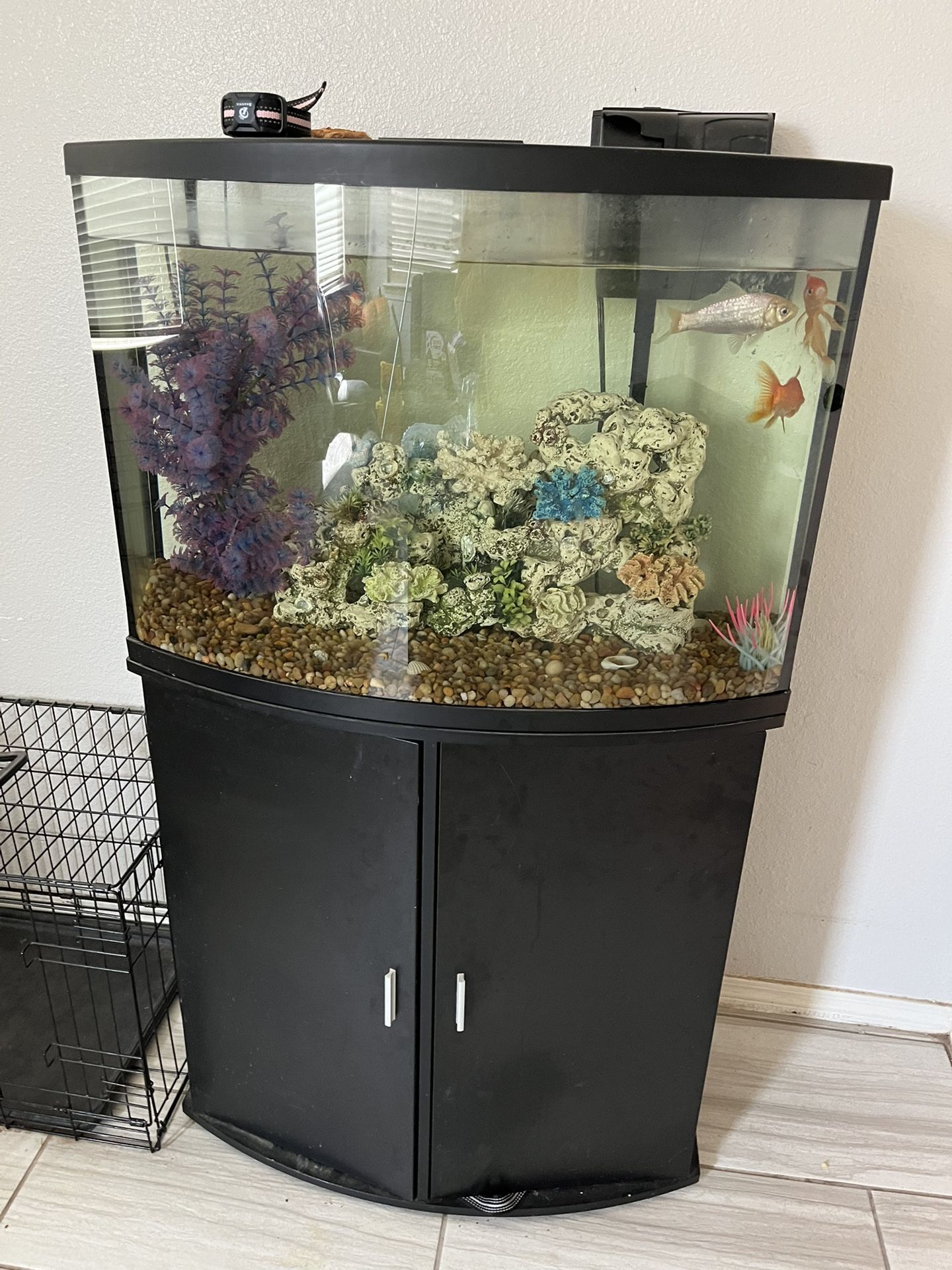 Top Fin Bowfront Aquarium & Stand Ensemble - 36 Gallon