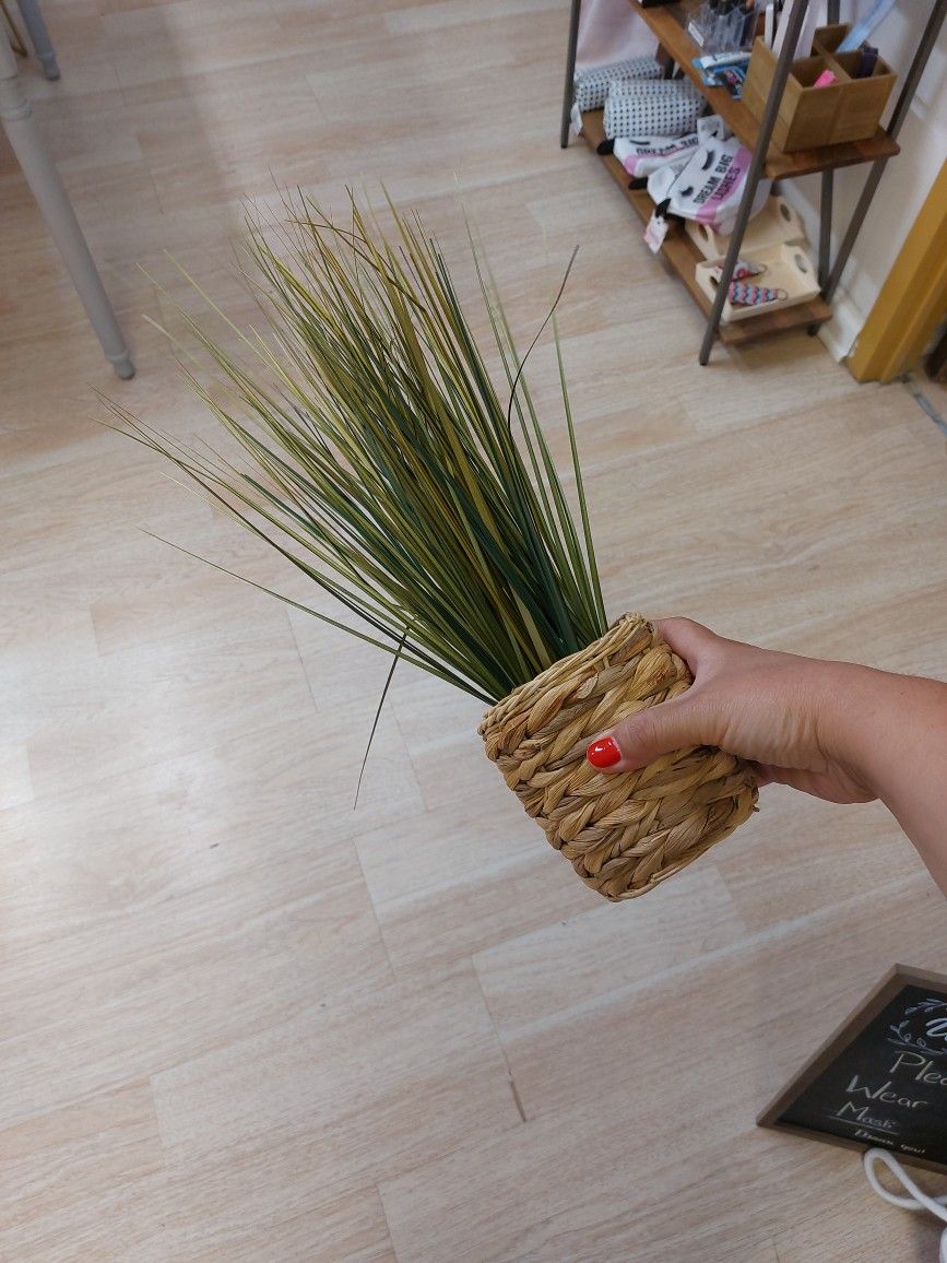 Fake Plant Decor
