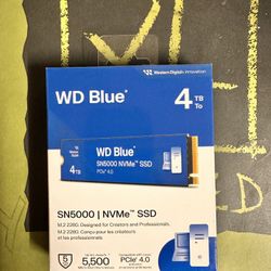 Wd Blue M.2 SSD