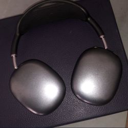 Apple Headphones 