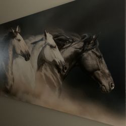 Wild Horses Canvas