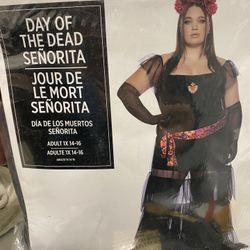 Plus Size Adult Halloween Costume