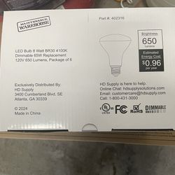 LED Light Bulbs (100 Pack)