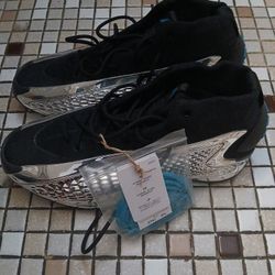 Adidas Chrome Anthony Edward's 