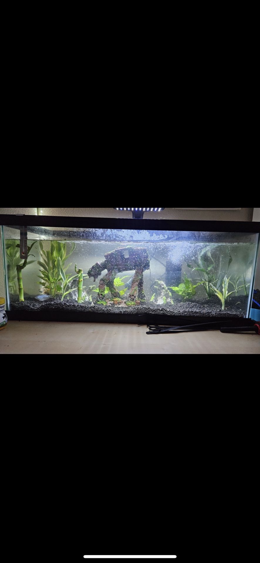 20 Gallon Fish Tank(complete Set Up)