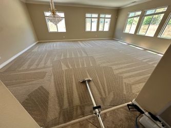 Professional carpet cleaning