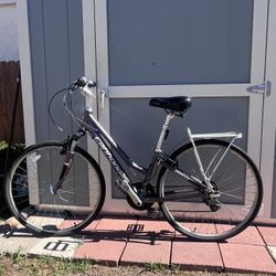 Great Comfortable Upright Bike!