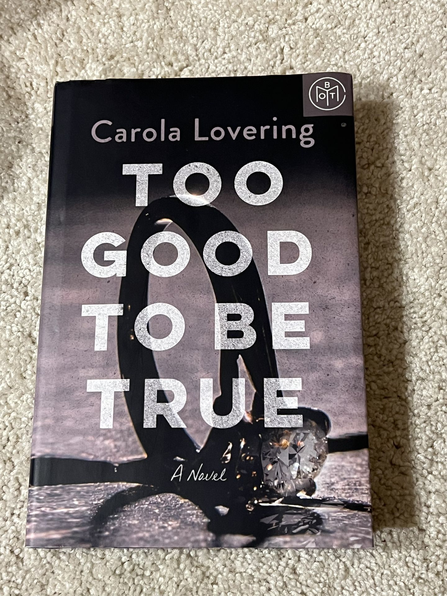 Too Good To BeTrue By Carola Lovering hard Cover Book