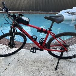 Trek Dual Sport 2 Size Large