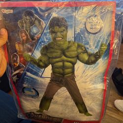 Hulk Costume