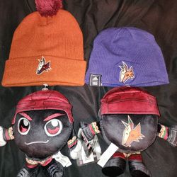Arizona Coyotes Items