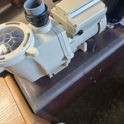 Pool Pump 
