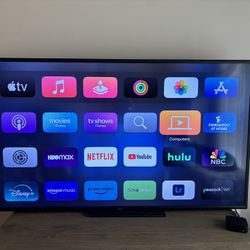 65” Vizio Smart TV with Wall Mount 