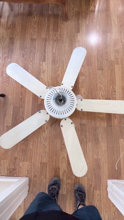 White ceiling fans
