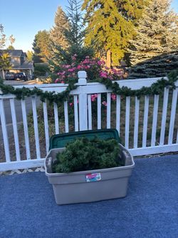 Five 8-foot strings of Xmas garland plus container