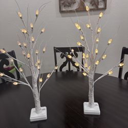 Set of 2 Tabletop Trees for Christmas, Winter. Different light settings.  (Queen Creek) 