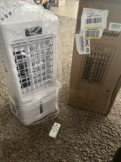Portable Air Cooler/therapy System
