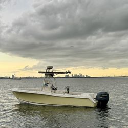 Sea hint 232 Triton 2006