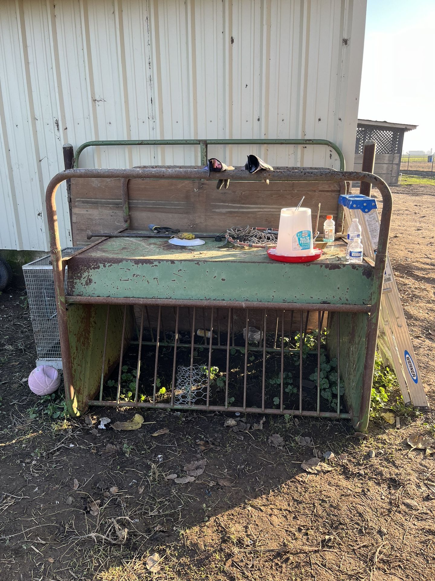 Cow Feeder